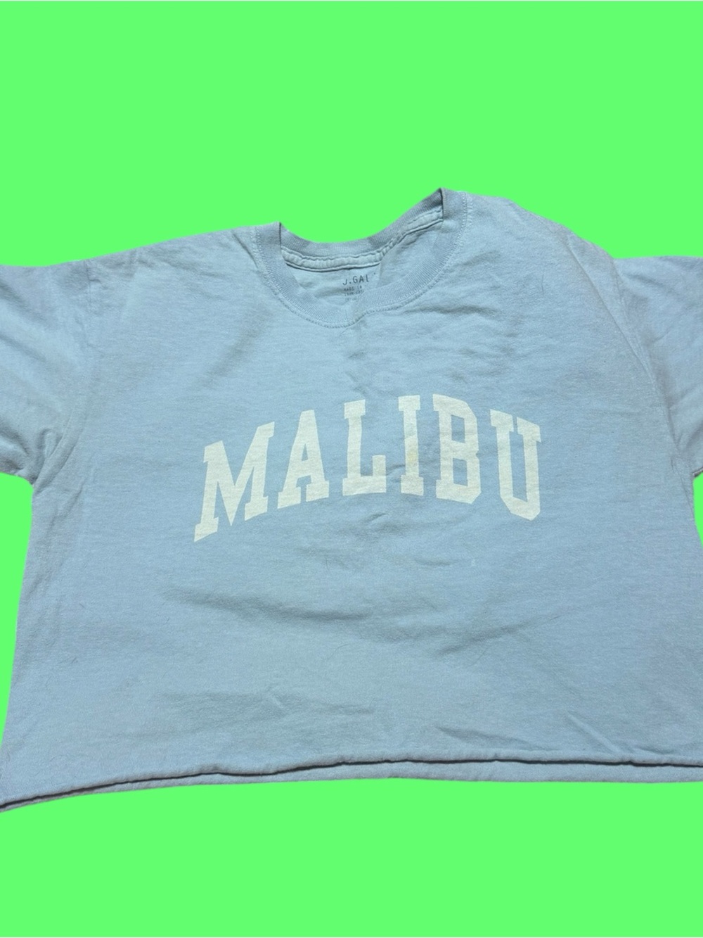 Brandy Melville “MALIBU” Cropped Tee